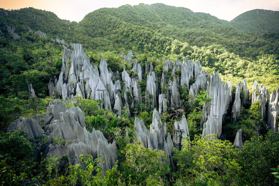 Mulu-Caves.png